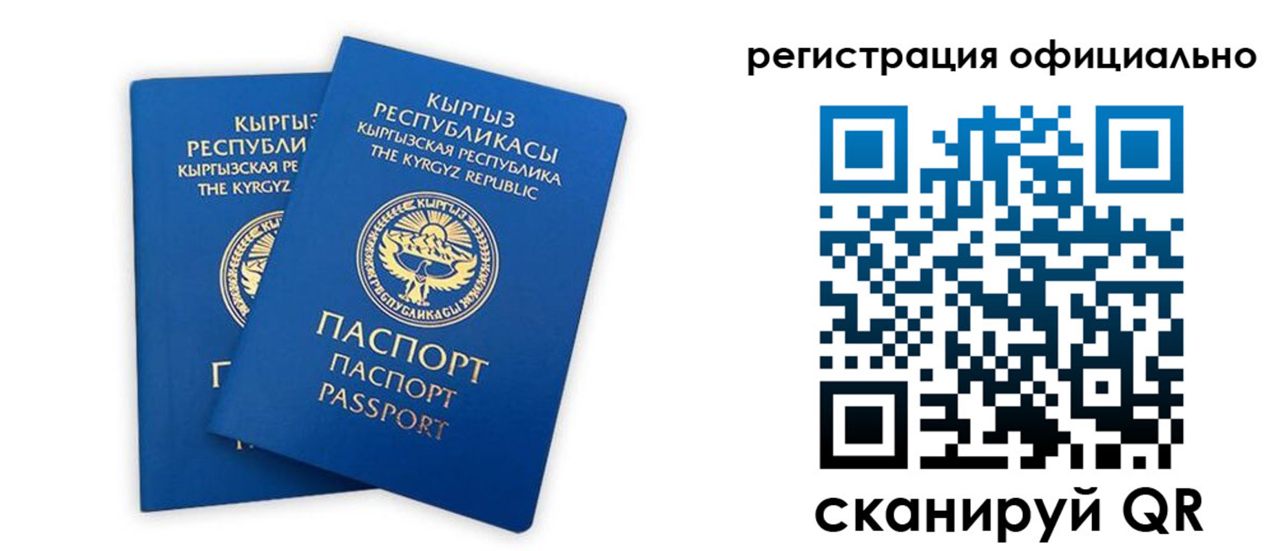 прописка поиск в Ставрополе